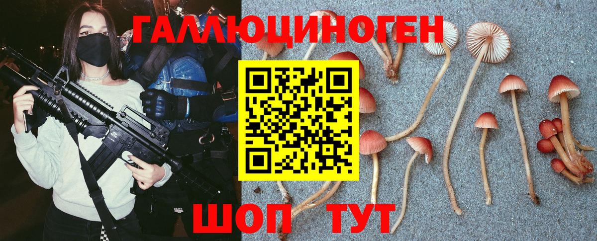 Псилоцибиновые грибы мухоморы  Вход с VPN  Галлюциногенные грибы Magic Shrooms  Владивосток 